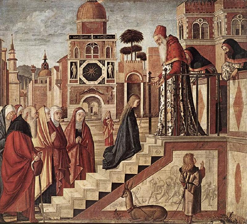 CARPACCIO, Vittore The Presentation of the Virgin fdg china oil painting image